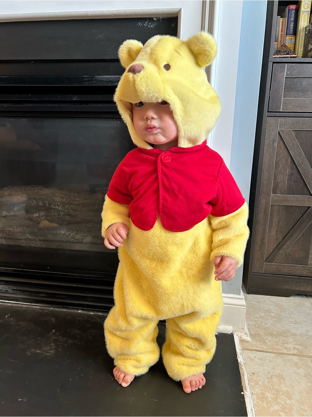Pottery Barn Kids Winnie The Pooh Bear 12-24m Costume